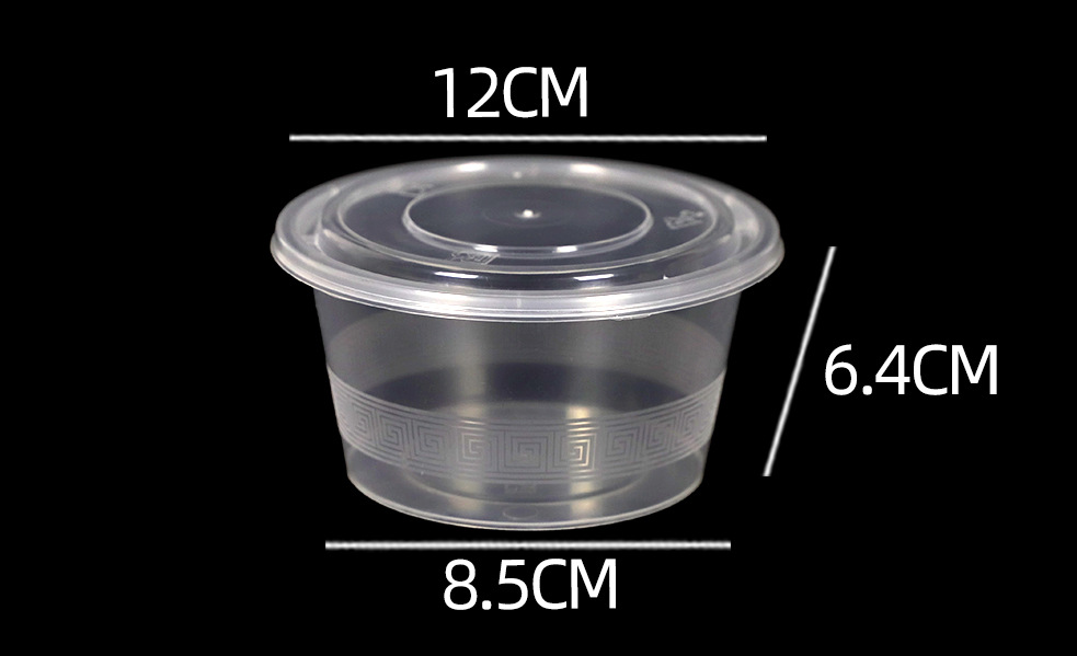 Disposable lunch box